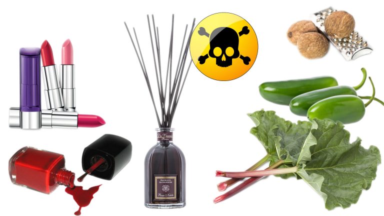 10 cose che possono ucciderci