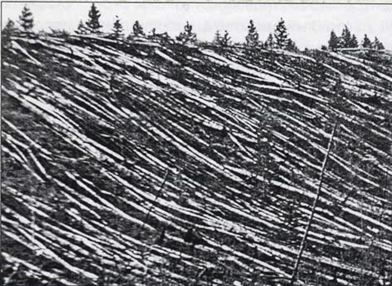 tunguska